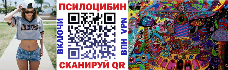 Купить  Кувандык  Галлюциногенные грибы Psilocybine cubensis 